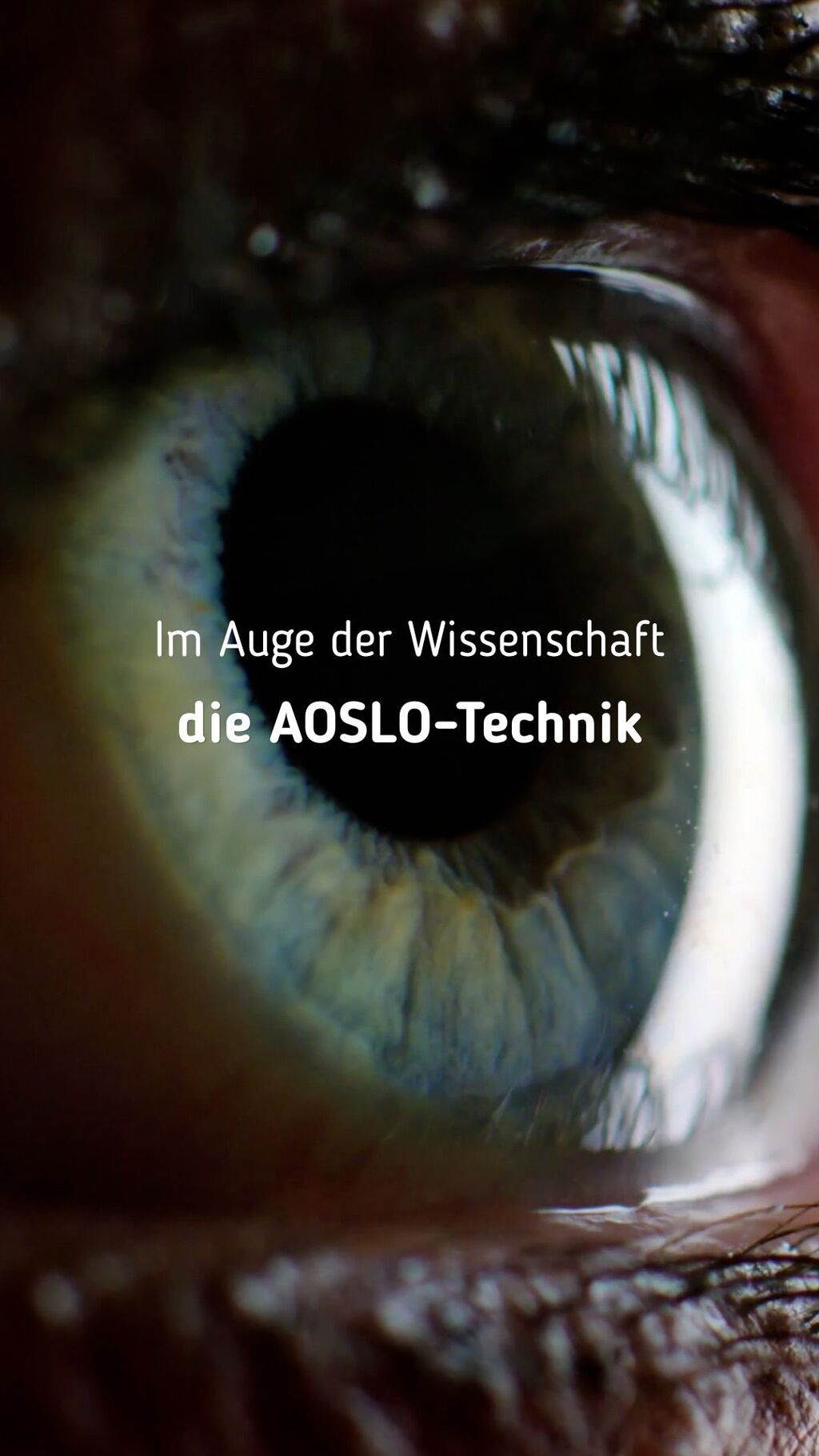 Werksgel&auml;nde: Im Auge der Wissenschaft 