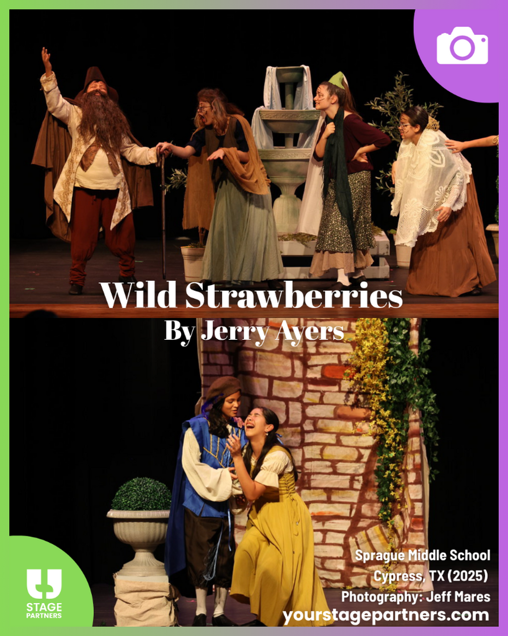 Wild Strawberries