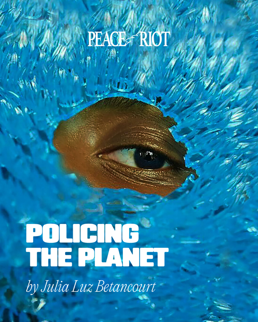 Policing the Planet