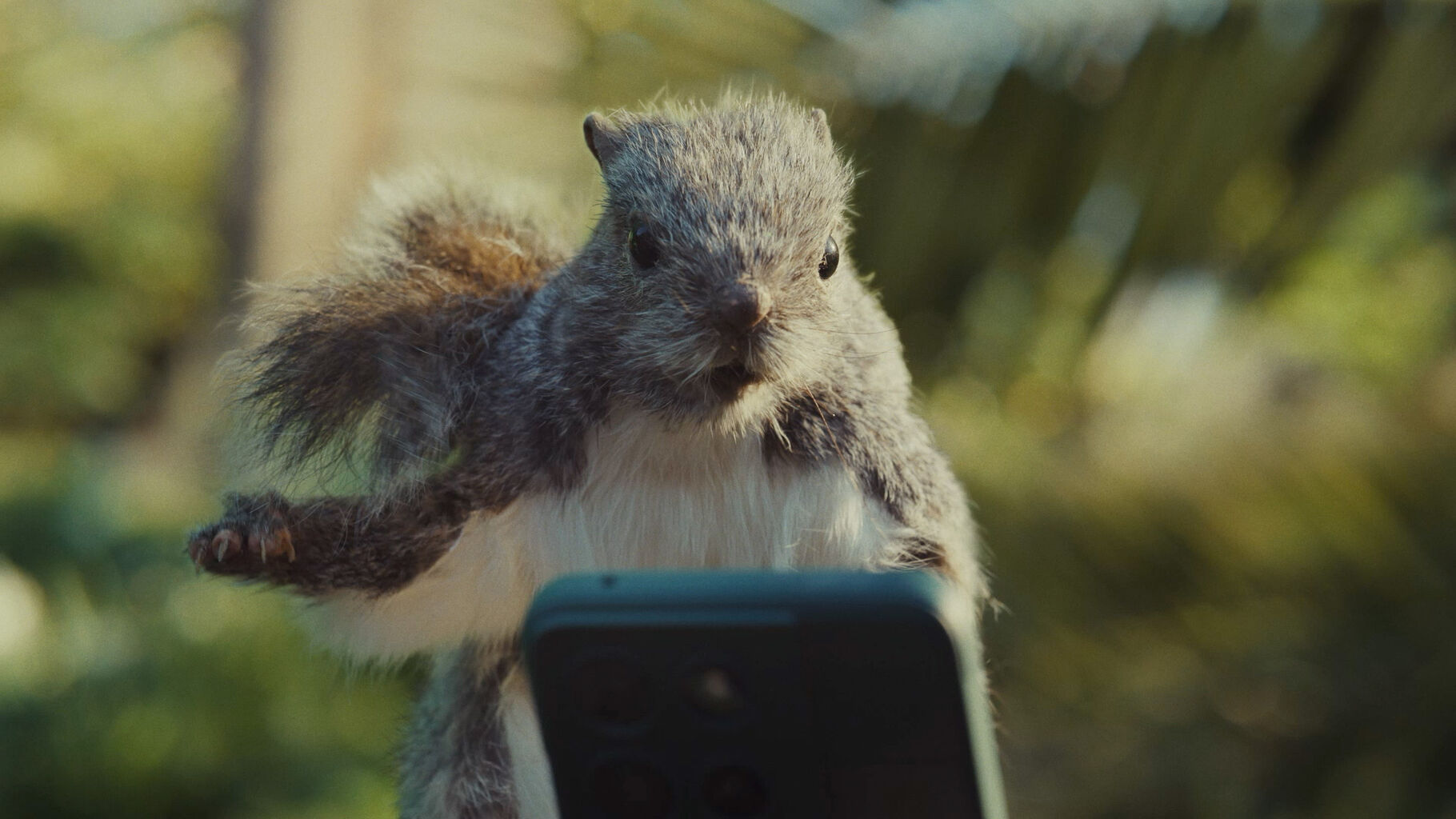 Canva&rsquo;s surreal salute to squirrels kicks off campaign from Quality Meats