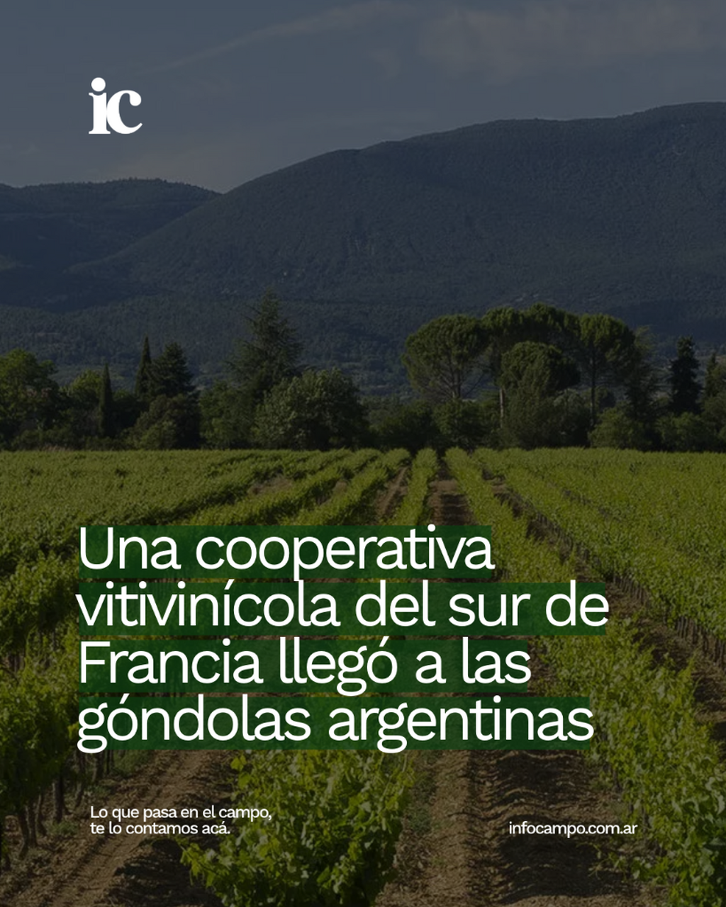 Del Valle del R&oacute;dano a Mendoza: una cooperativa vitivin&iacute;cola francesa busca hacerse fuerte en Argentina | Infocampo