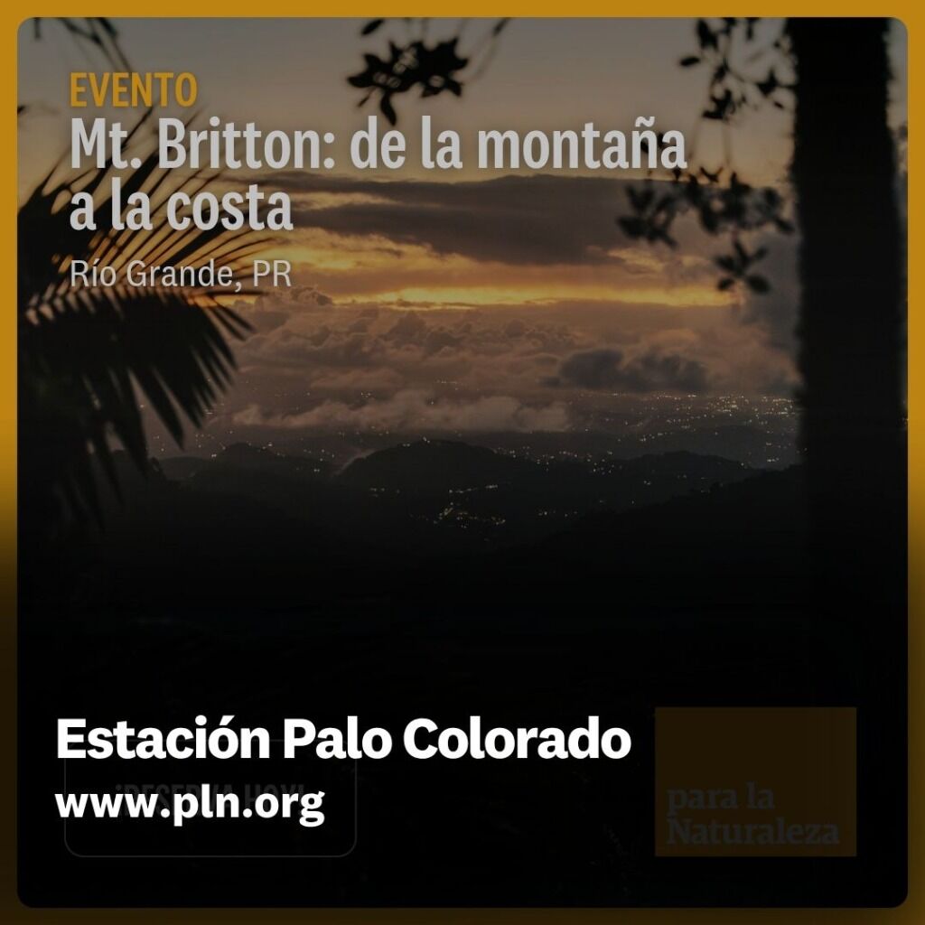 Estaci&oacute;n Palo Colorado