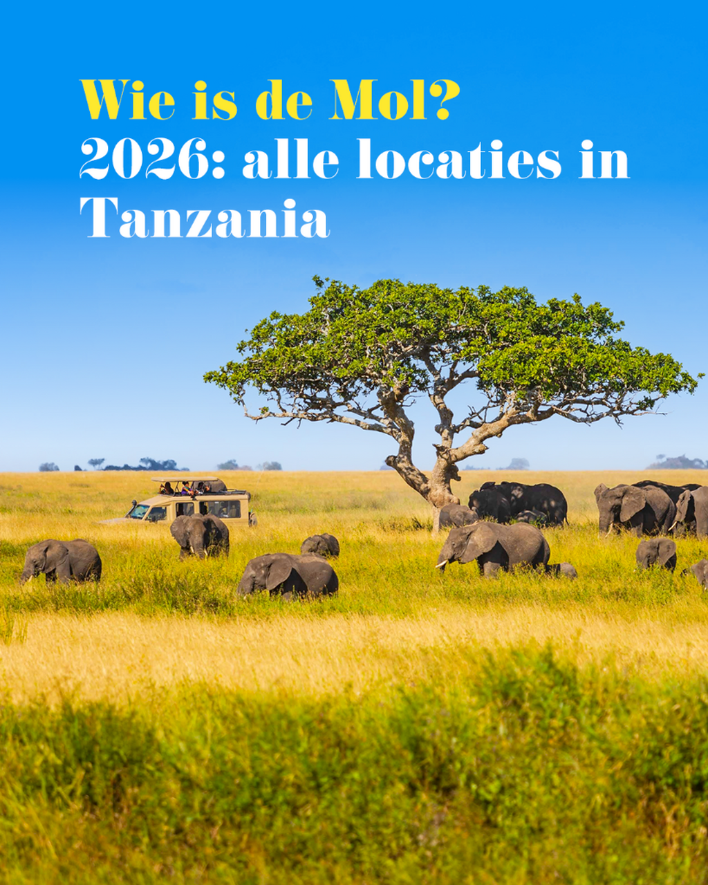 🦒 Wie is de mol? 2026: Alle locaties 🦒