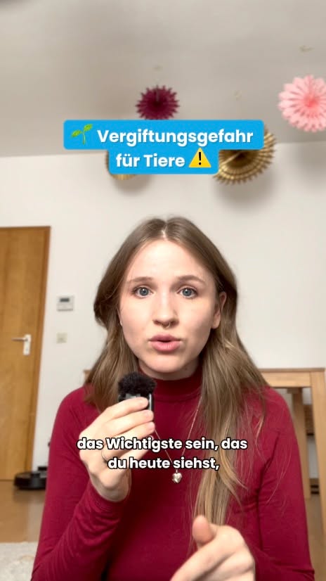 Die 20 giftigsten Zimmerpflanzen f&uuml;r Tiere
