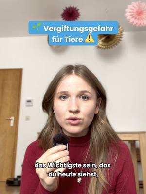 Die 20 giftigsten Zimmerpflanzen f&uuml;r Tiere