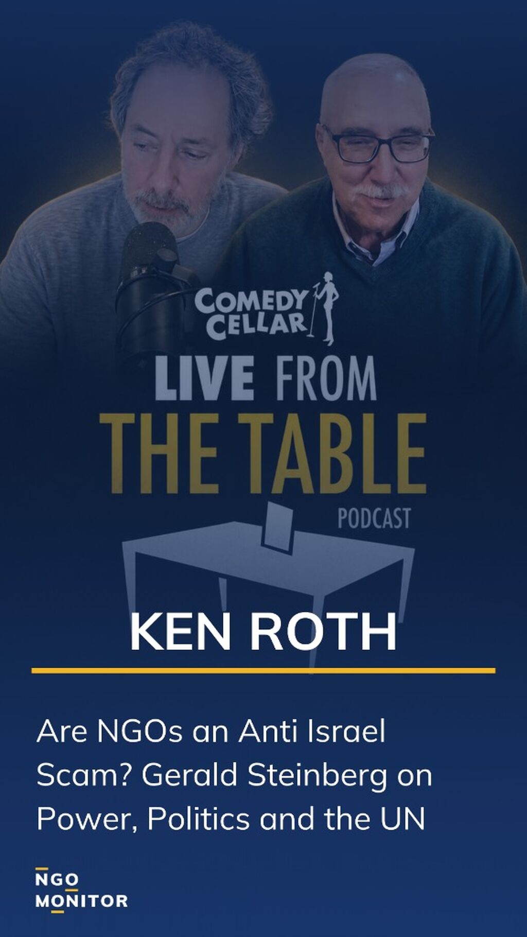 Live from the Table: Are NGOs an Anti Israel Scam? Gerald Steinberg on Power, Politics and the UN