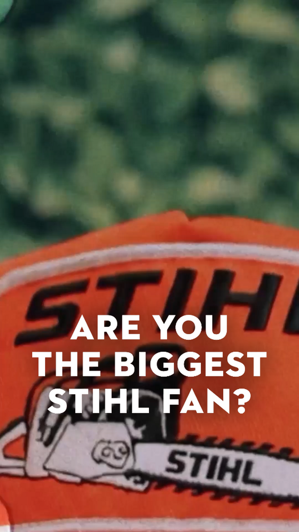 #biggestSTIHLfan 