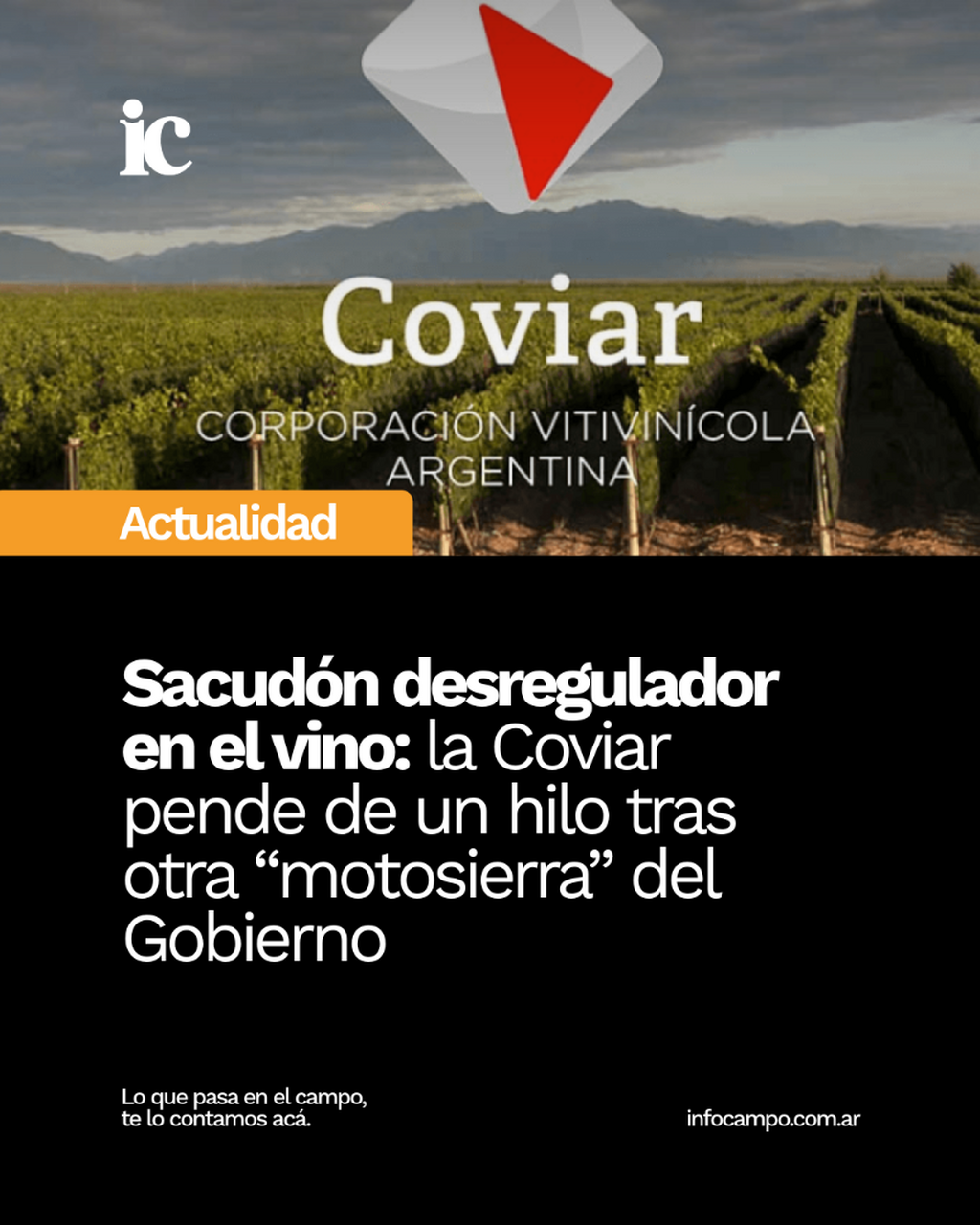 Sacud&oacute;n desregulador en el vino: la Coviar pende de un hilo tras otra &ldquo;motosierra&rdquo; del Gobierno | Infocampo