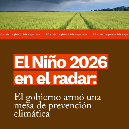 Prevenci&oacute;n clim&aacute;tica: en la Cuenca del Plata le temen a El Ni&ntilde;o y armaron una &ldquo;Mesa de Alerta Temprana&rdquo; | Infocampo