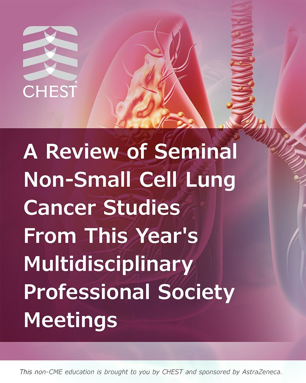 Enduring Webinar: A Review of Seminal Non-Small Cell Lung Cancer Studies From This Year's Multidisciplinary Professional Society Meetings 