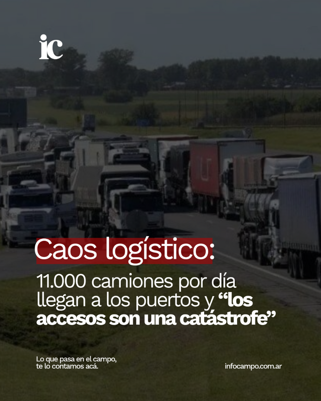 Caos log&iacute;stico: 11.000 camiones por d&iacute;a llegan a los puertos y &ldquo;los accesos son una cat&aacute;strofe" | Infocampo