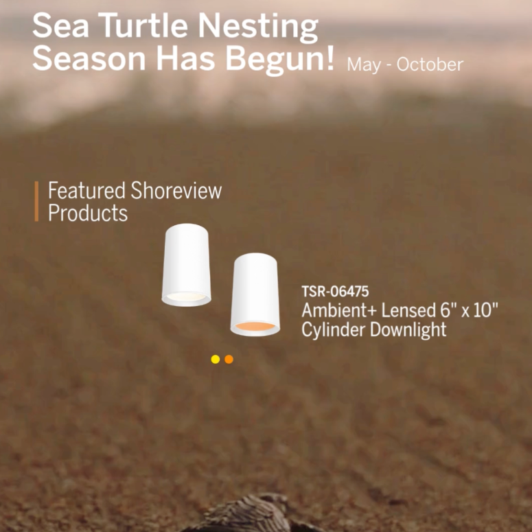 Sea Turtle Nesting Season Has Begun!