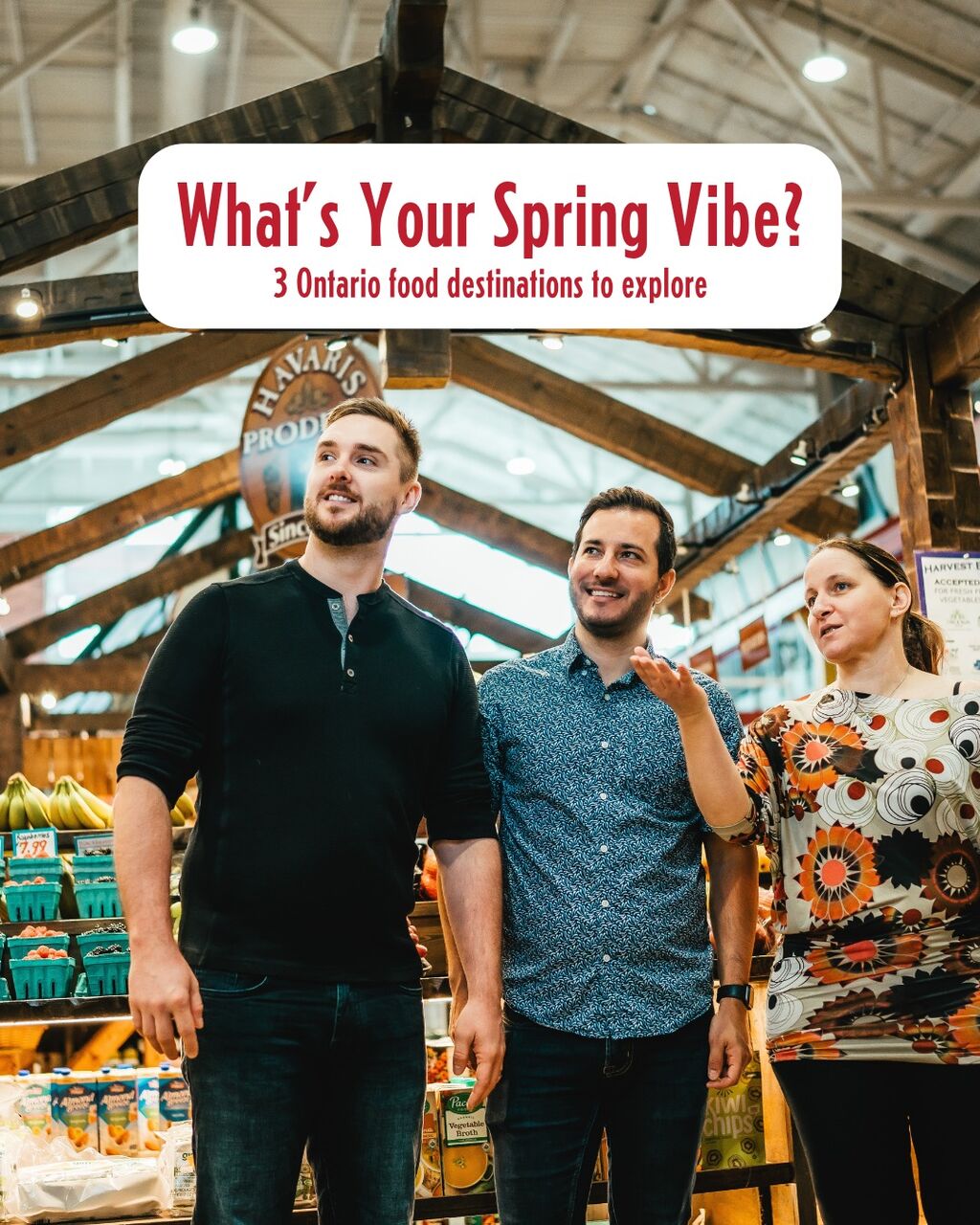 Get Out and Savour Spring in These Ontario Food Destinations