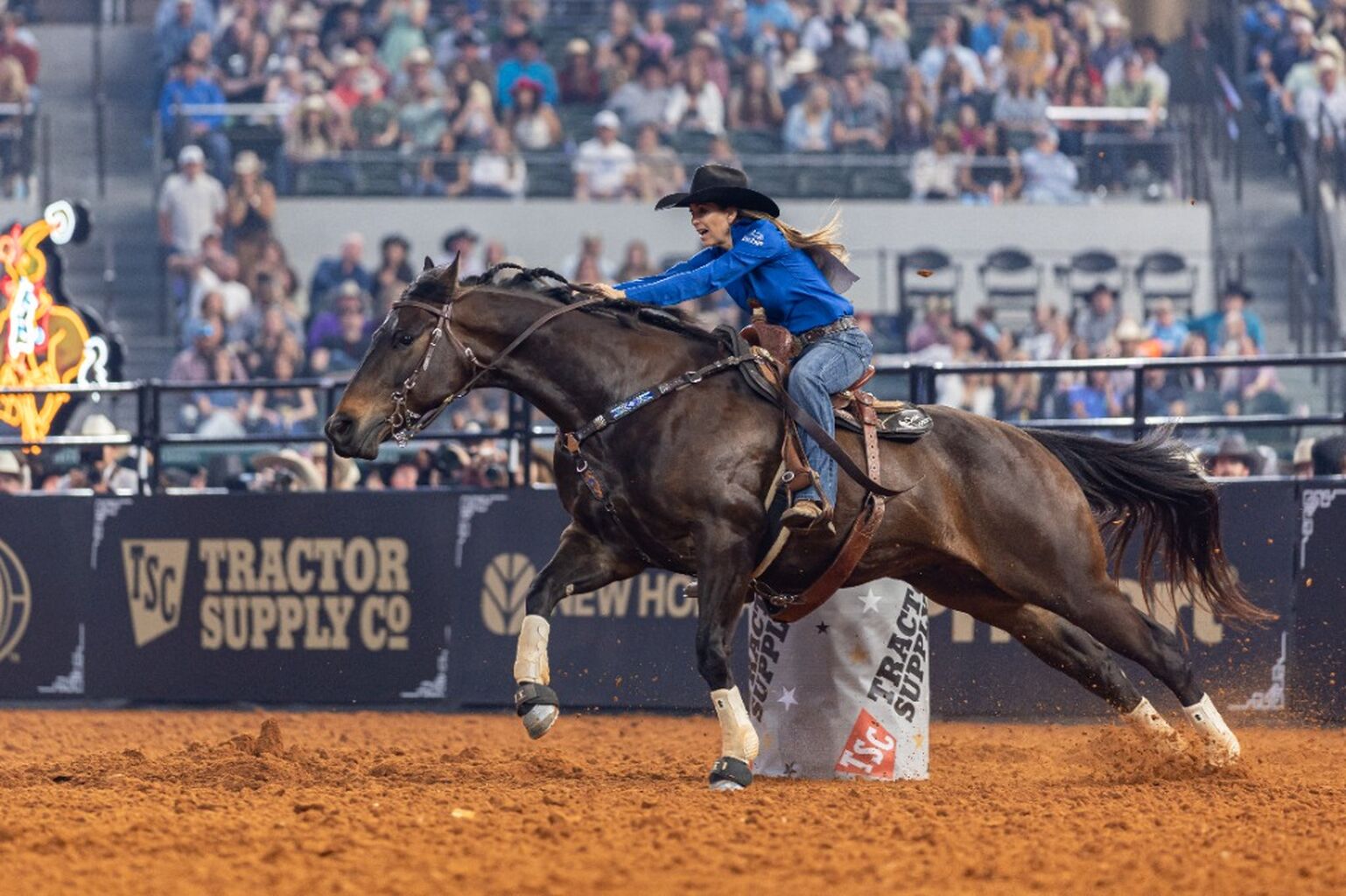 American Rodeo: Know Before You Go