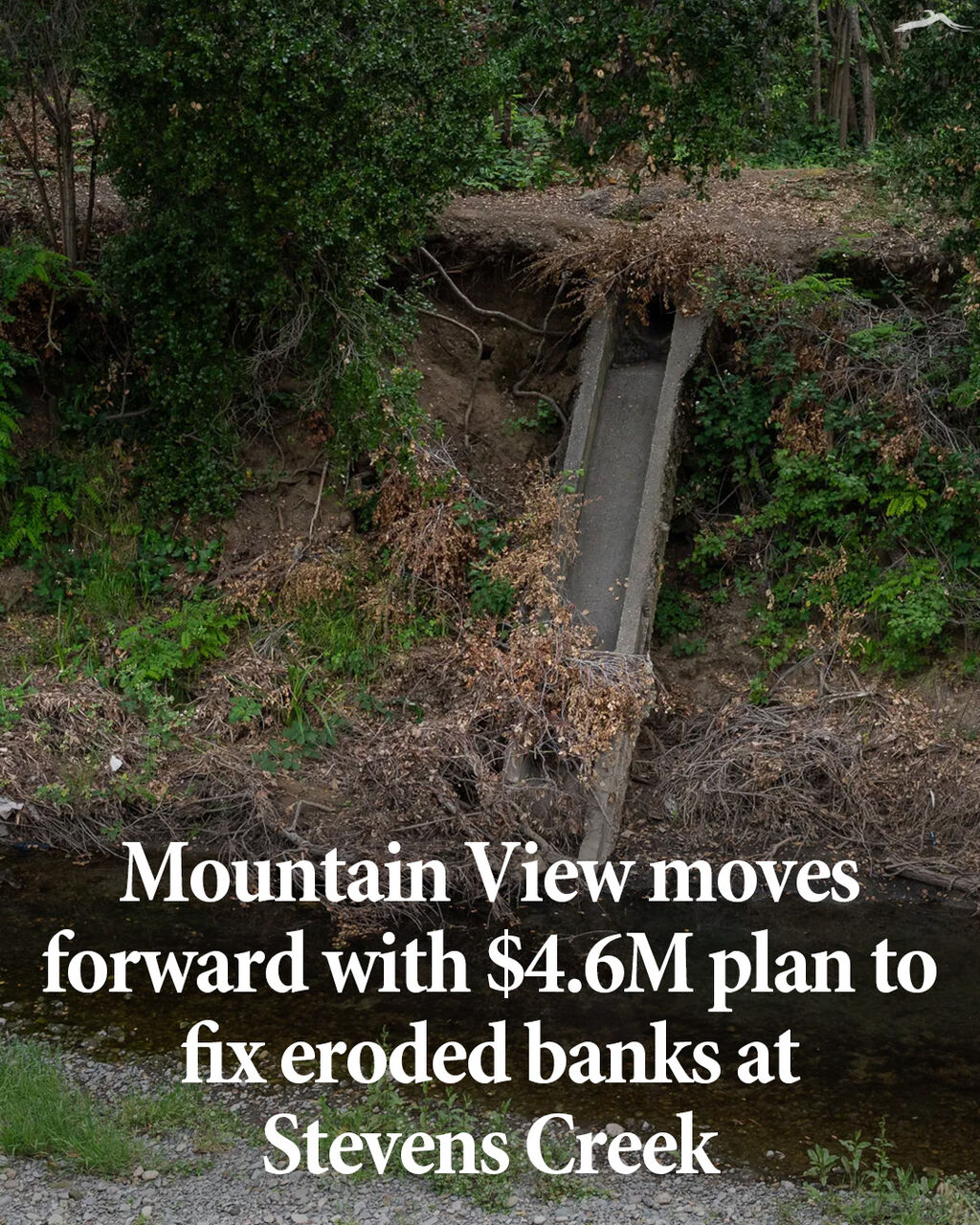 Mountain View moves forward with $4.6M plan to fix eroded banks at Stevens Creek