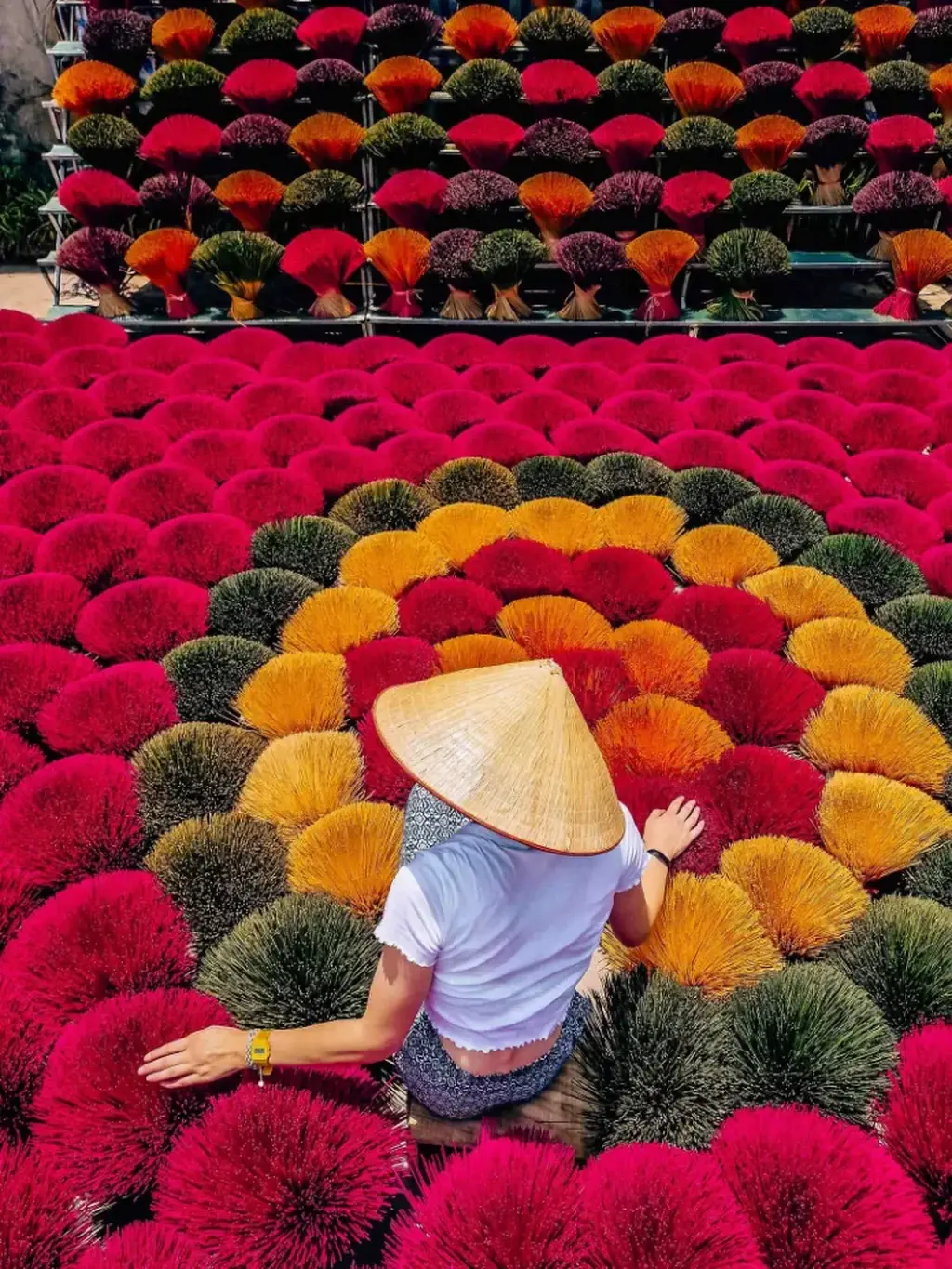 Custom Tour in Vietnam