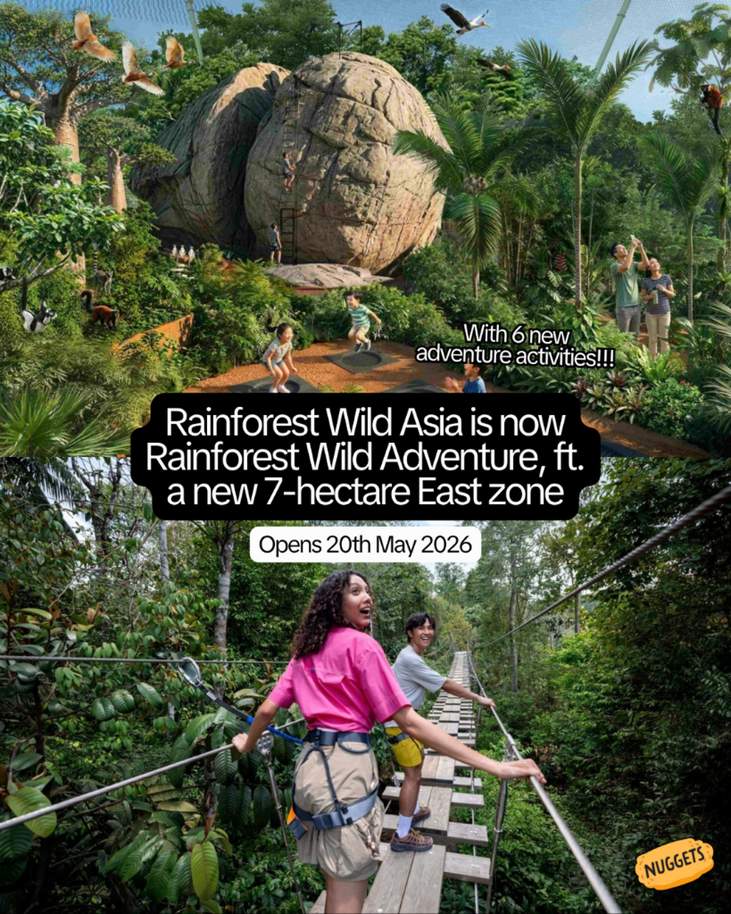 Rainforest Wild Adventure