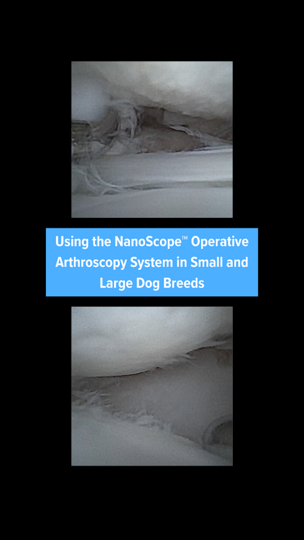 Using the NanoScope&trade; Operative Arthroscopy System in Small and Large Dog Breed