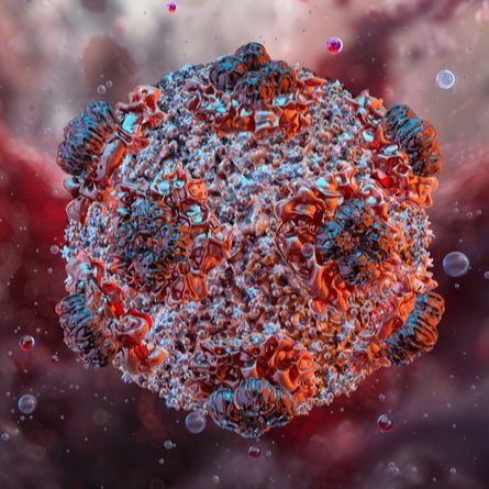A blog from the President Professor Gordon Dougan FRS on the hantavirus outbreak