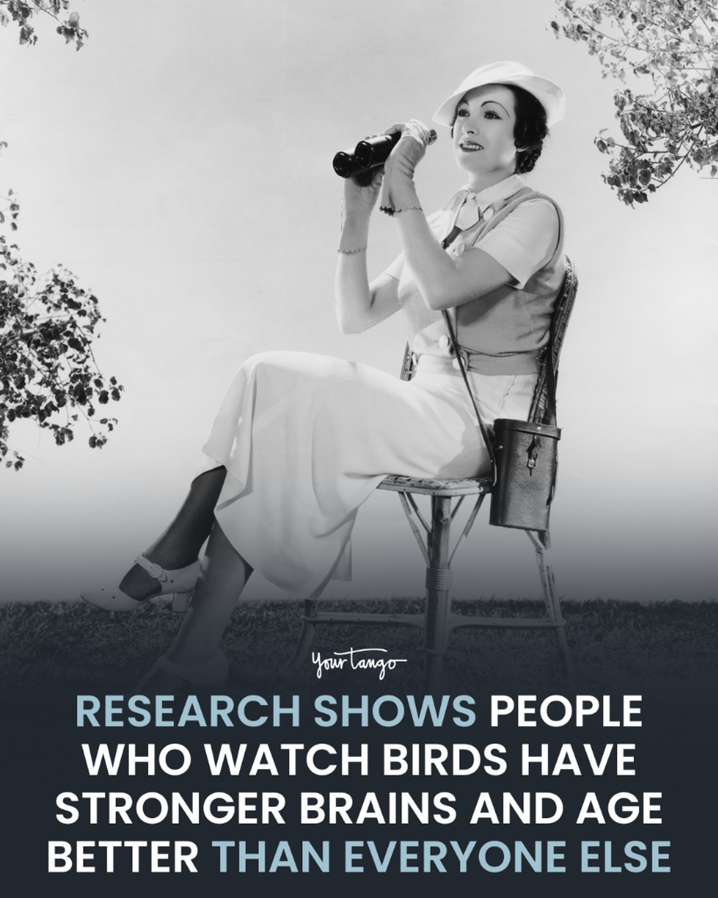 People Who Like Watching Birds Usually Develop A Major Advantage As They Get Older, Says Study