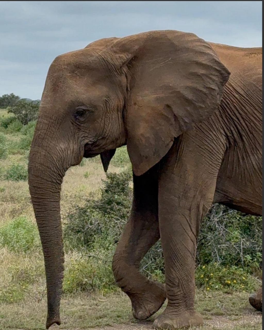 Botswana