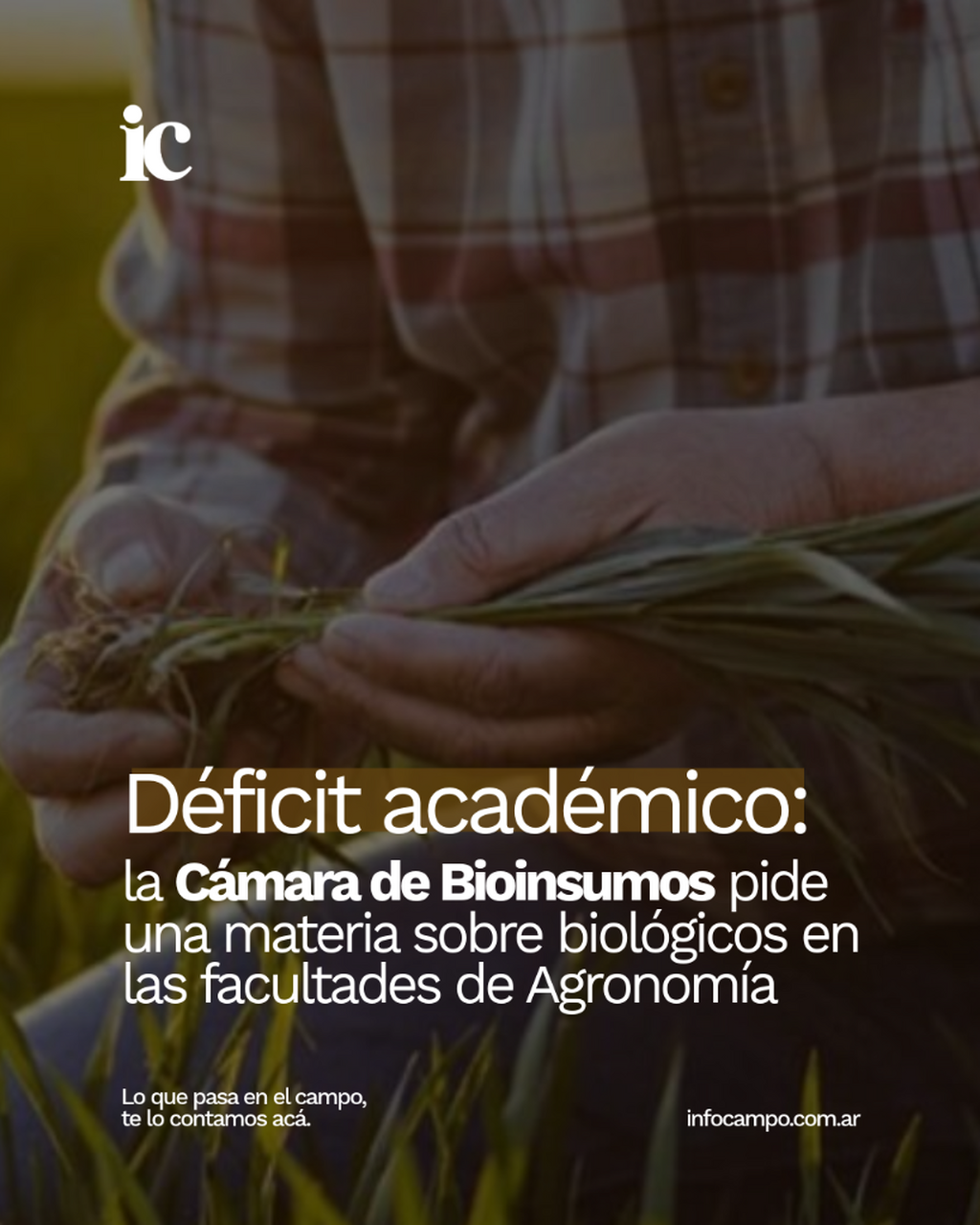 D&eacute;ficit acad&eacute;mico: la C&aacute;mara de Bioinsumos pide una materia sobre biol&oacute;gicos en las facultades de Agronom&iacute;a | Infocampo