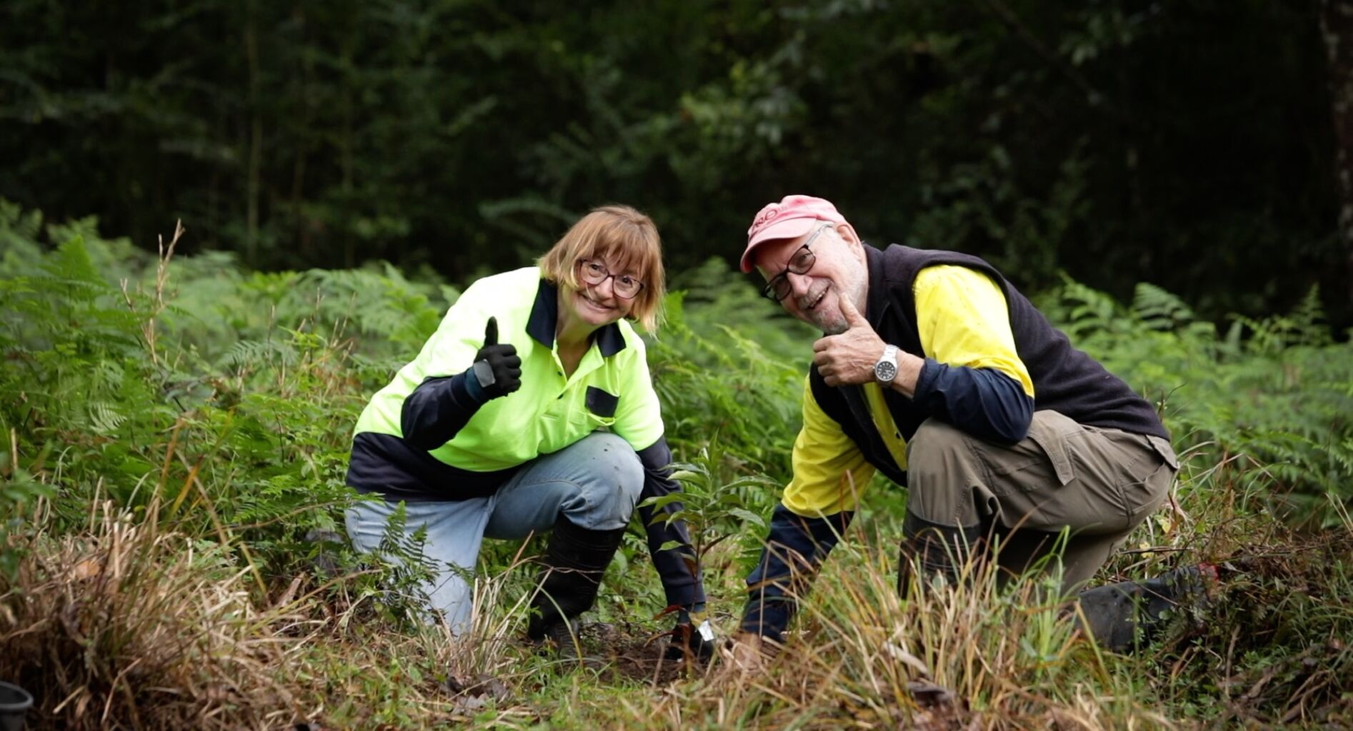 Environmental groups