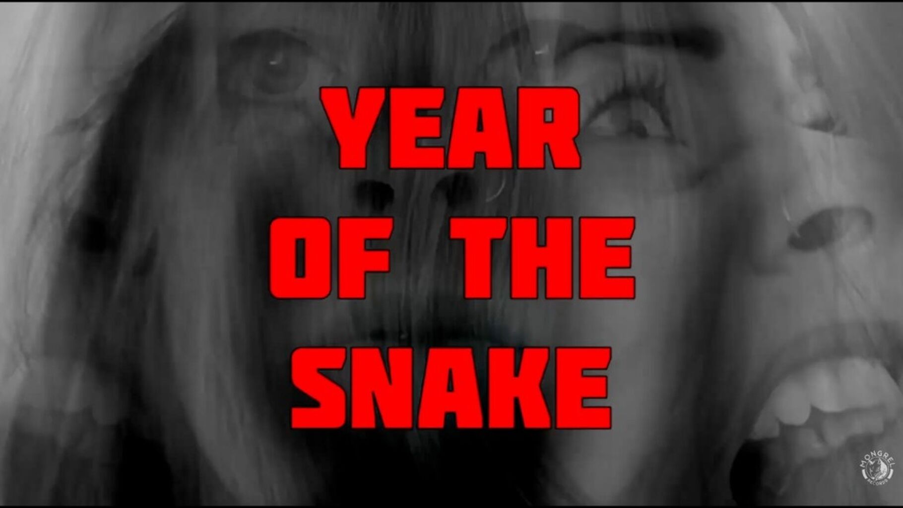 Watch We Kill Cowboys Year Of The Snake (Lyric Video)