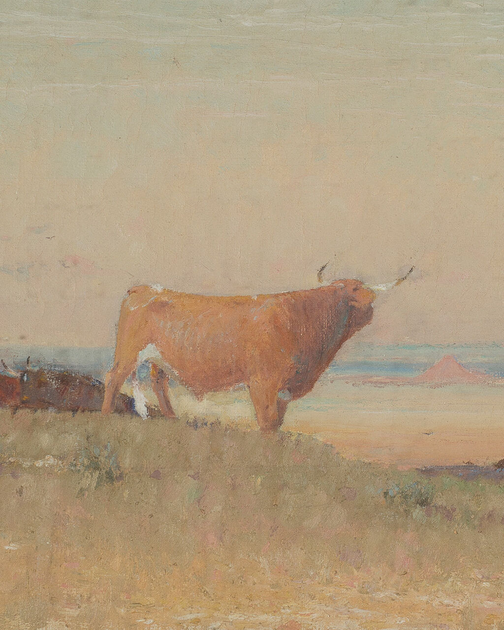 Art Collections at the Ransom Center