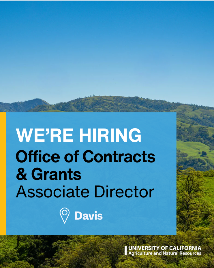 Office of Contracts & Grants -  Associate Director Job