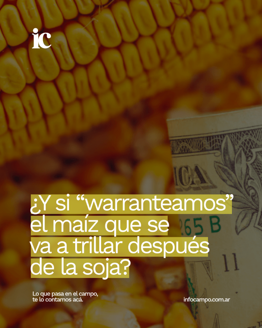 &iquest;Y si "warranteamos" el ma&iacute;z que se va a trillar despu&eacute;s de la soja? | Infocampo