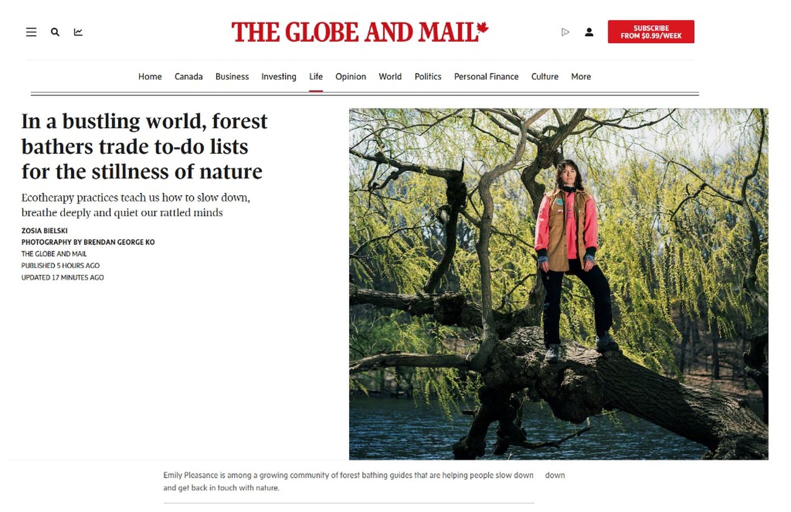 In a bustling world, forest bathers trade to-do lists for the stillness of nature - Globe and Mail