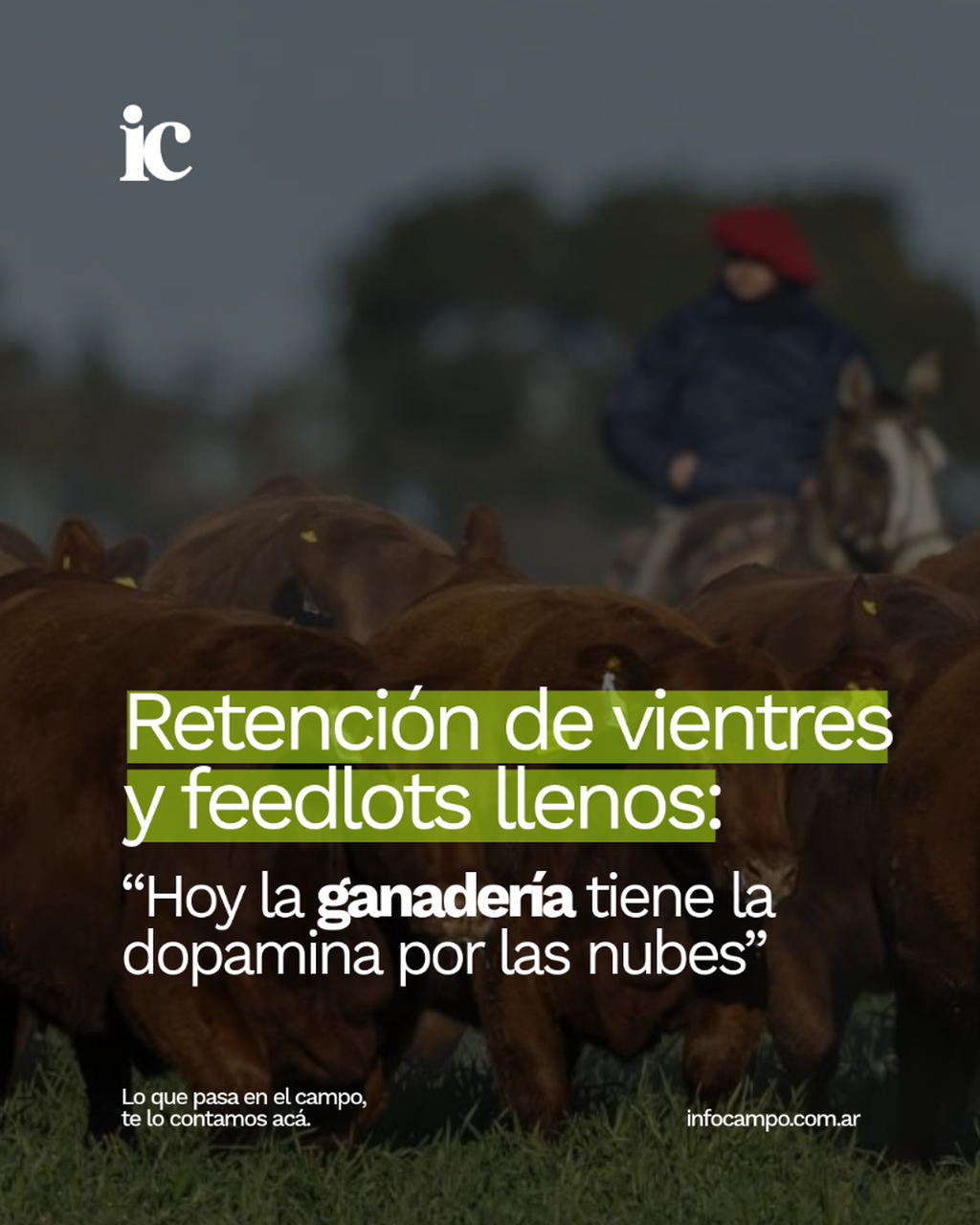 Retenci&oacute;n de vientres y feedlots llenos: &ldquo;Hoy la ganader&iacute;a tiene la dopamina por las nubes&rdquo; | Infocampo