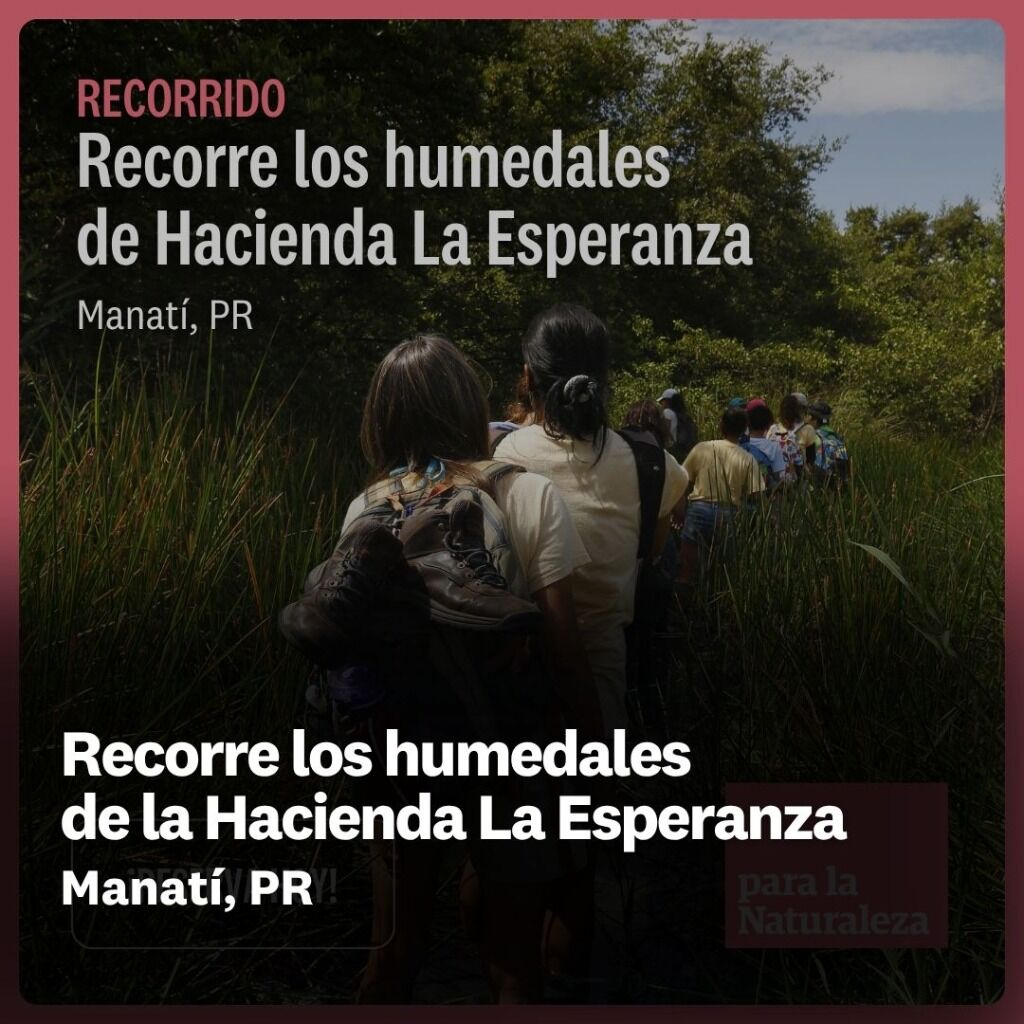 Recorre los humedales de la Hacienda La Esperanza