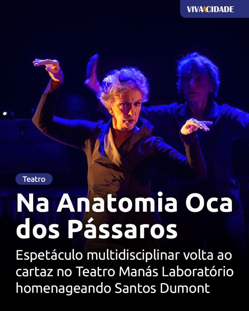 Na Anatomia Oca dos P&aacute;ssaros
