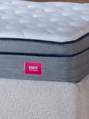 Endy x This is Perimenopause