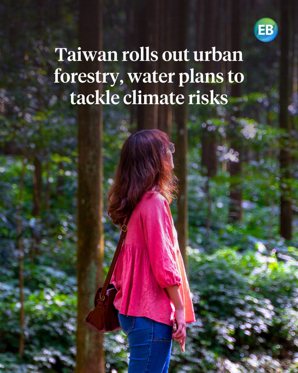 Taiwan rolls out urban forestry, water plans to tackle climate risks