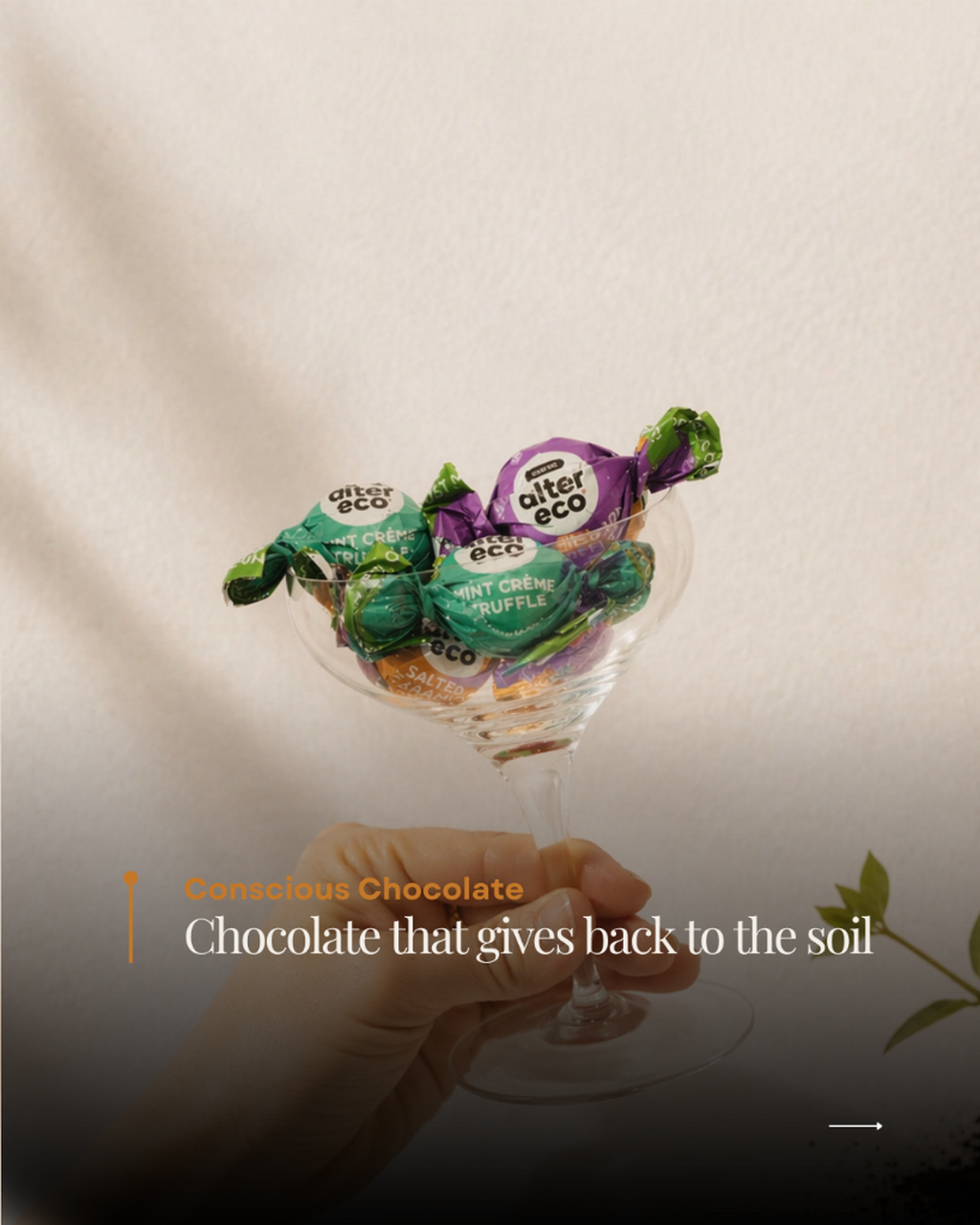 Conscious Chocolate