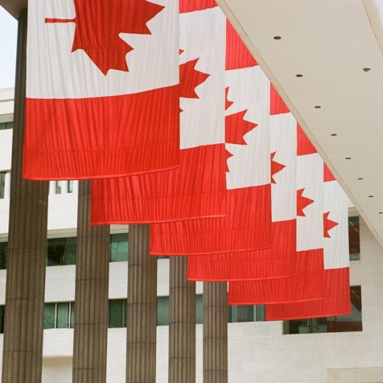 Towards Democratic Control of Our Economy: The Case for a &lsquo;National Investment Fund&rsquo;