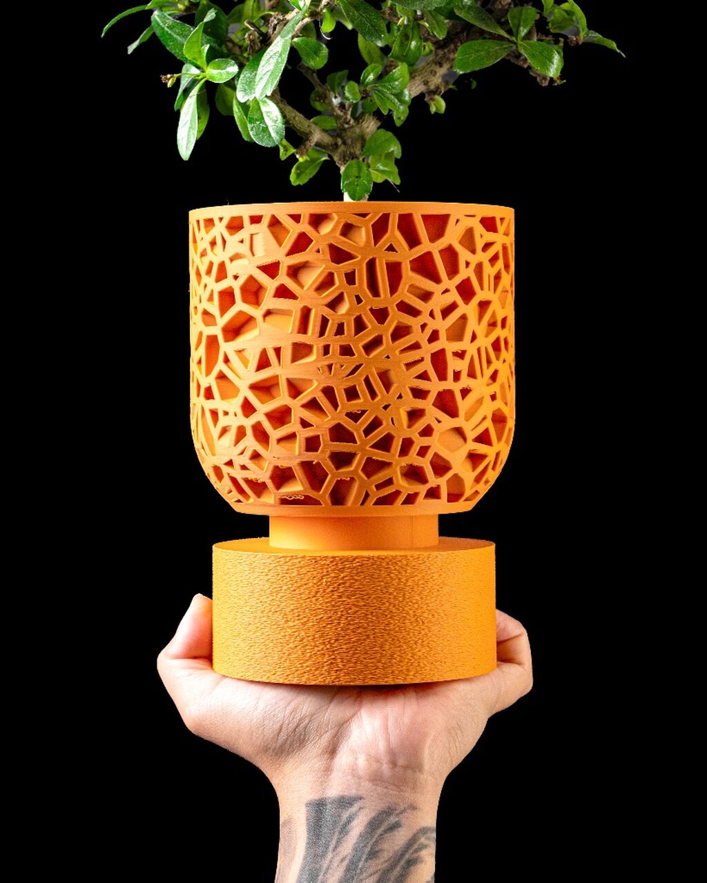 Planter Pot 001