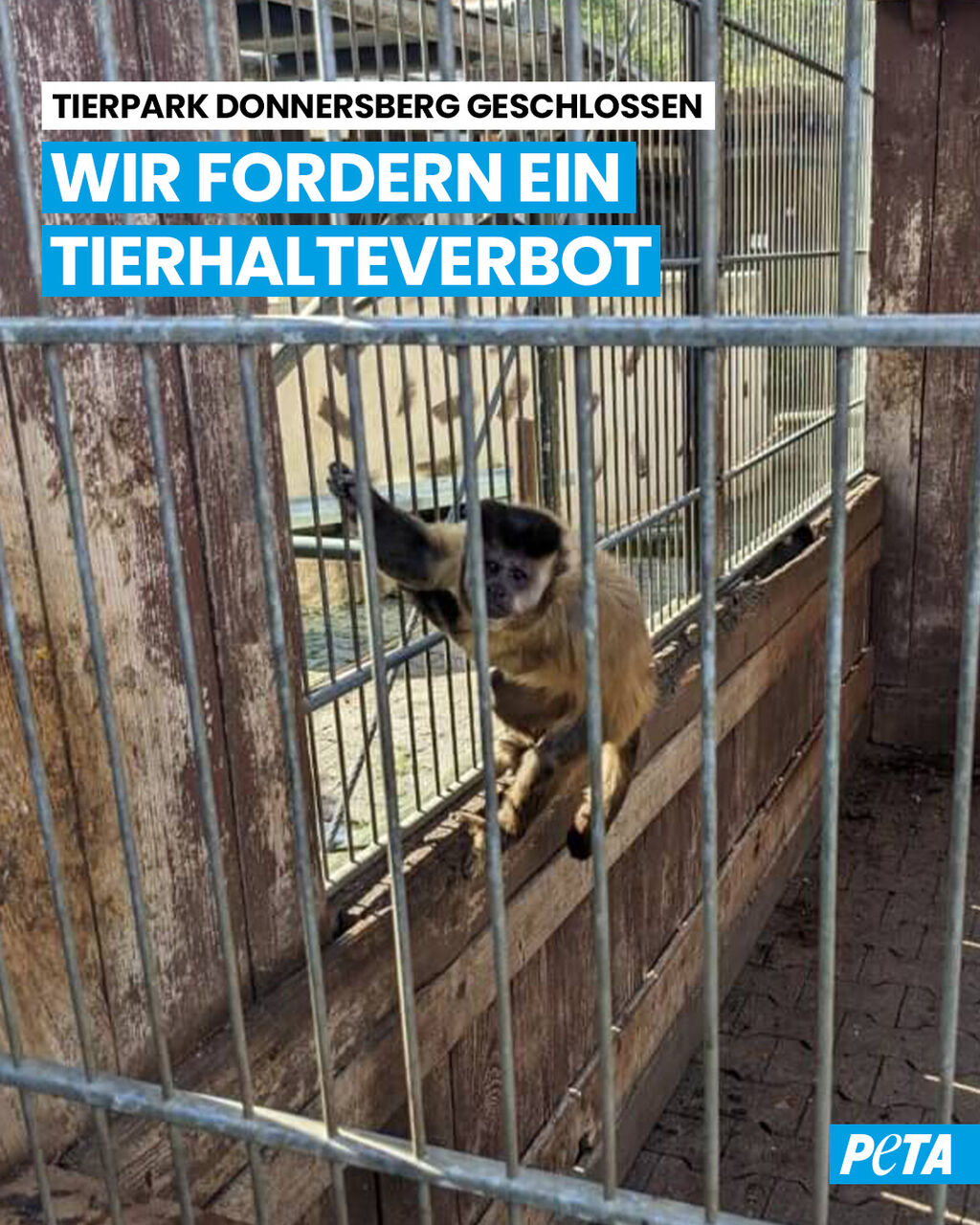 Gute Neuigkeiten: Tierpark Donnersberg geschlossen &ndash; PETA fordert Tierhalteverbot
