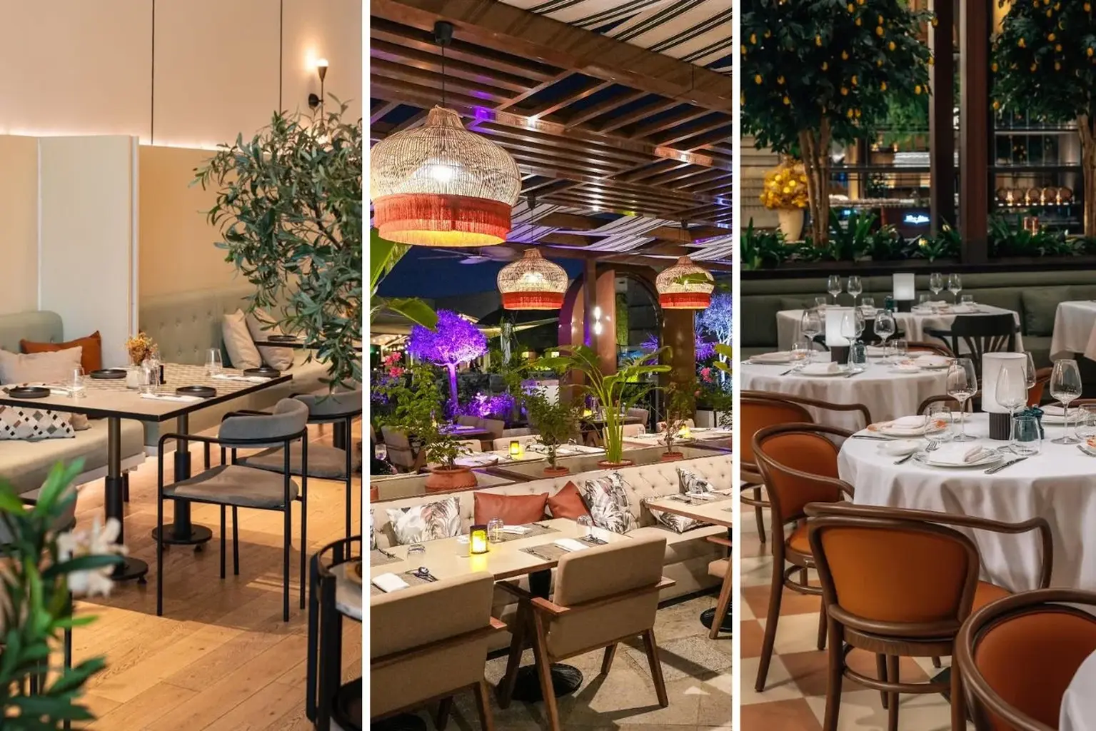 40+ Best Pasta Restaurants in Dubai that Present the Dish Like Never Before