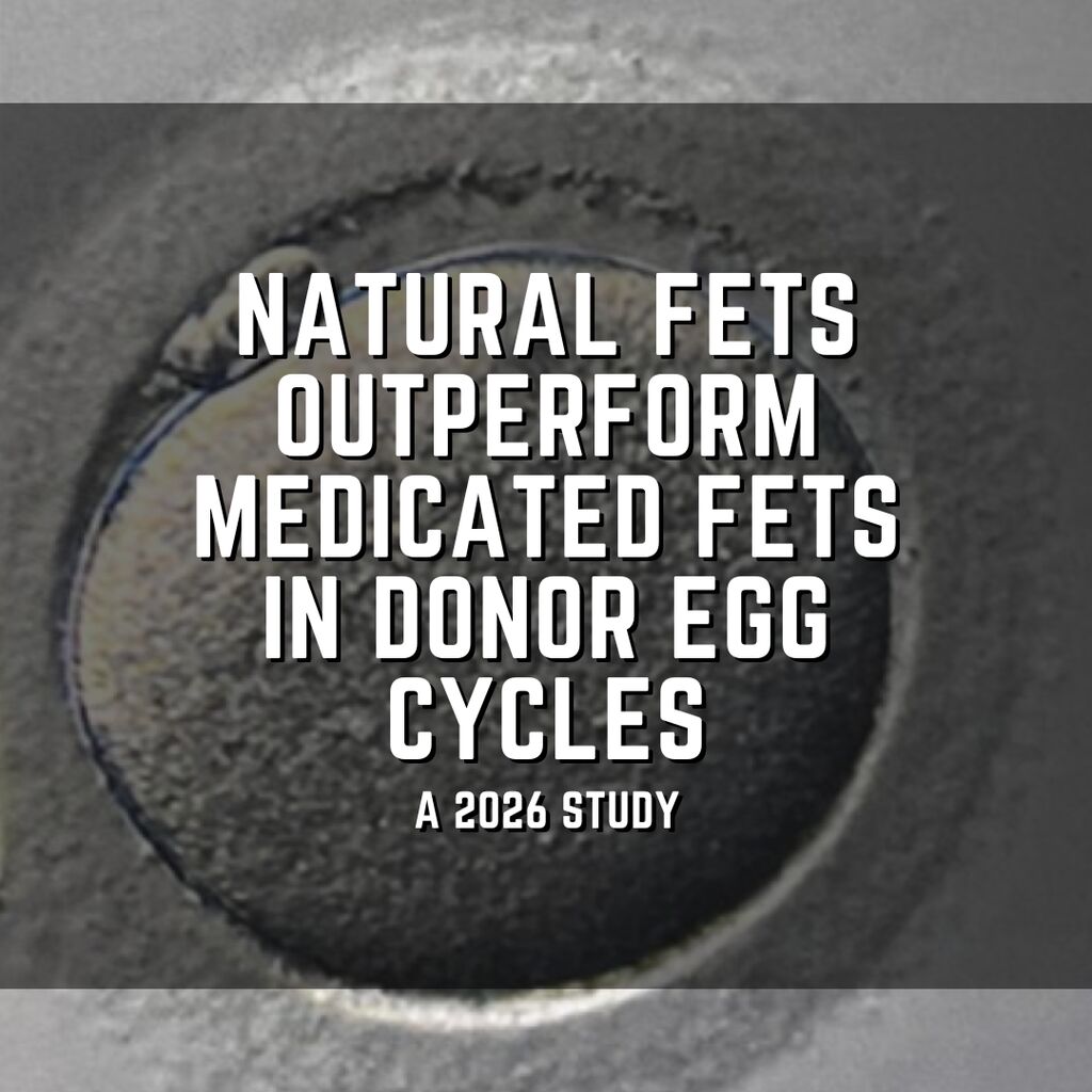 Natural FETs outperform medicated FETs in donor egg cycles