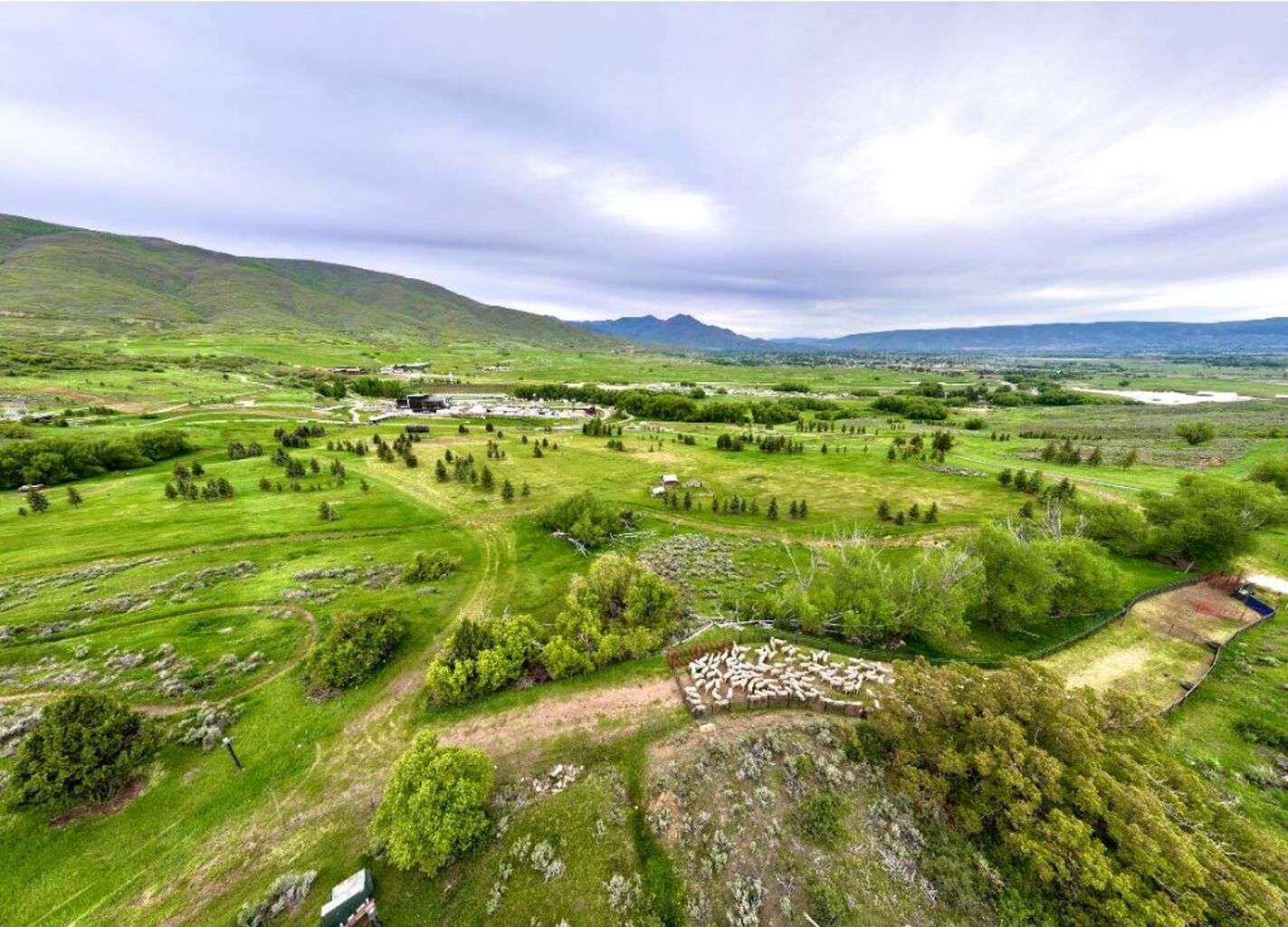 Soldier Hollow Classic Sheepdog Championships & Festival