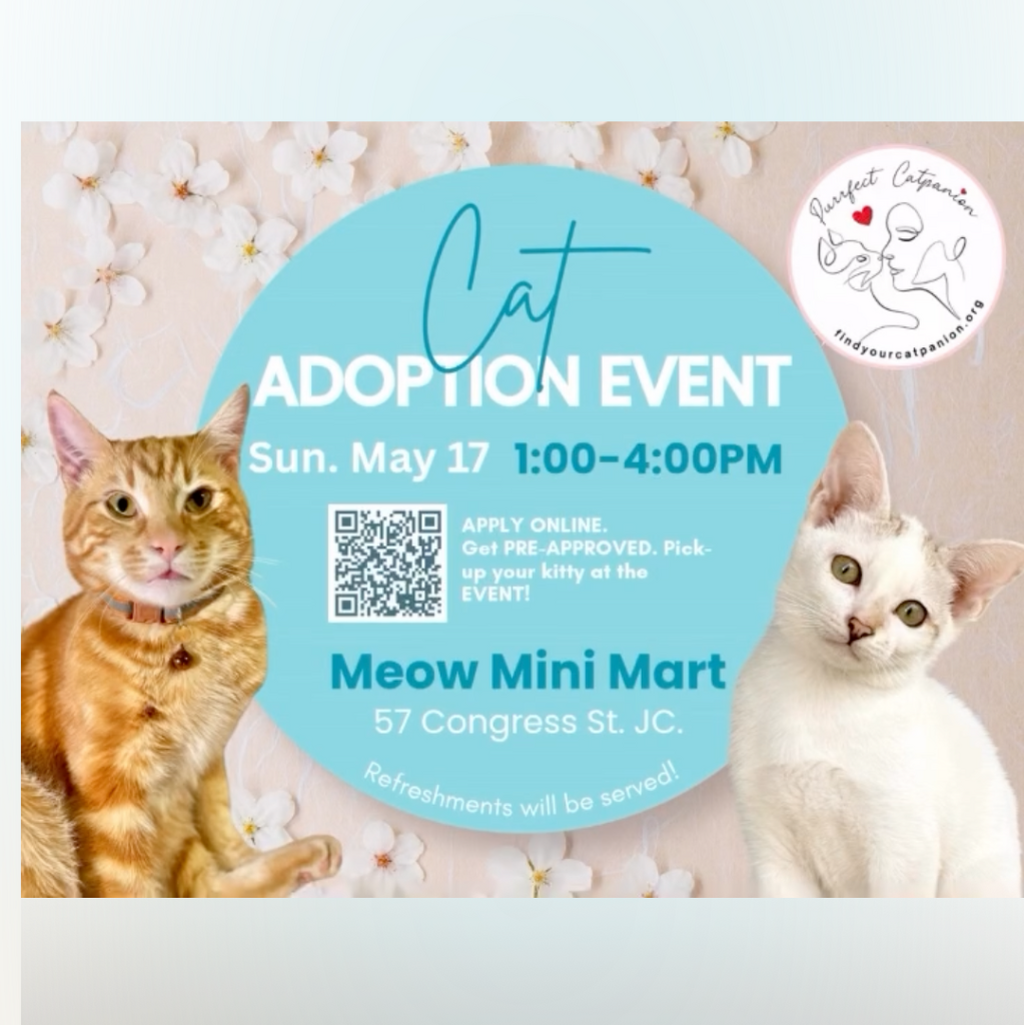 cat adoption event