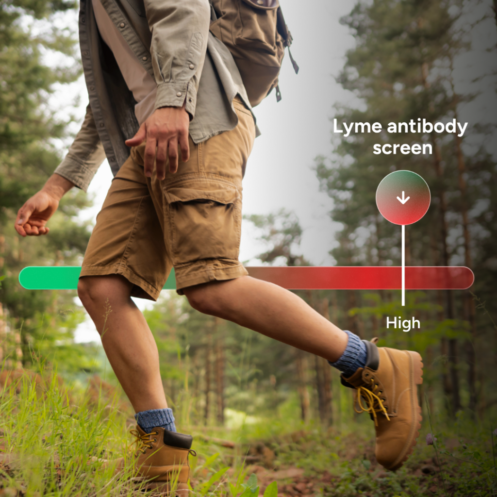 How to Get Tested for Lyme Disease 