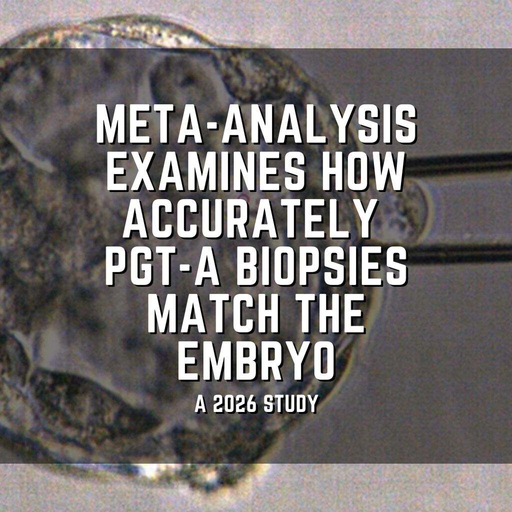 Meta-analysis examines how accurately PGT-A embryo biopsies match the embryo