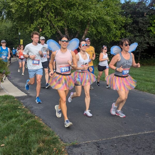 Flutter Run