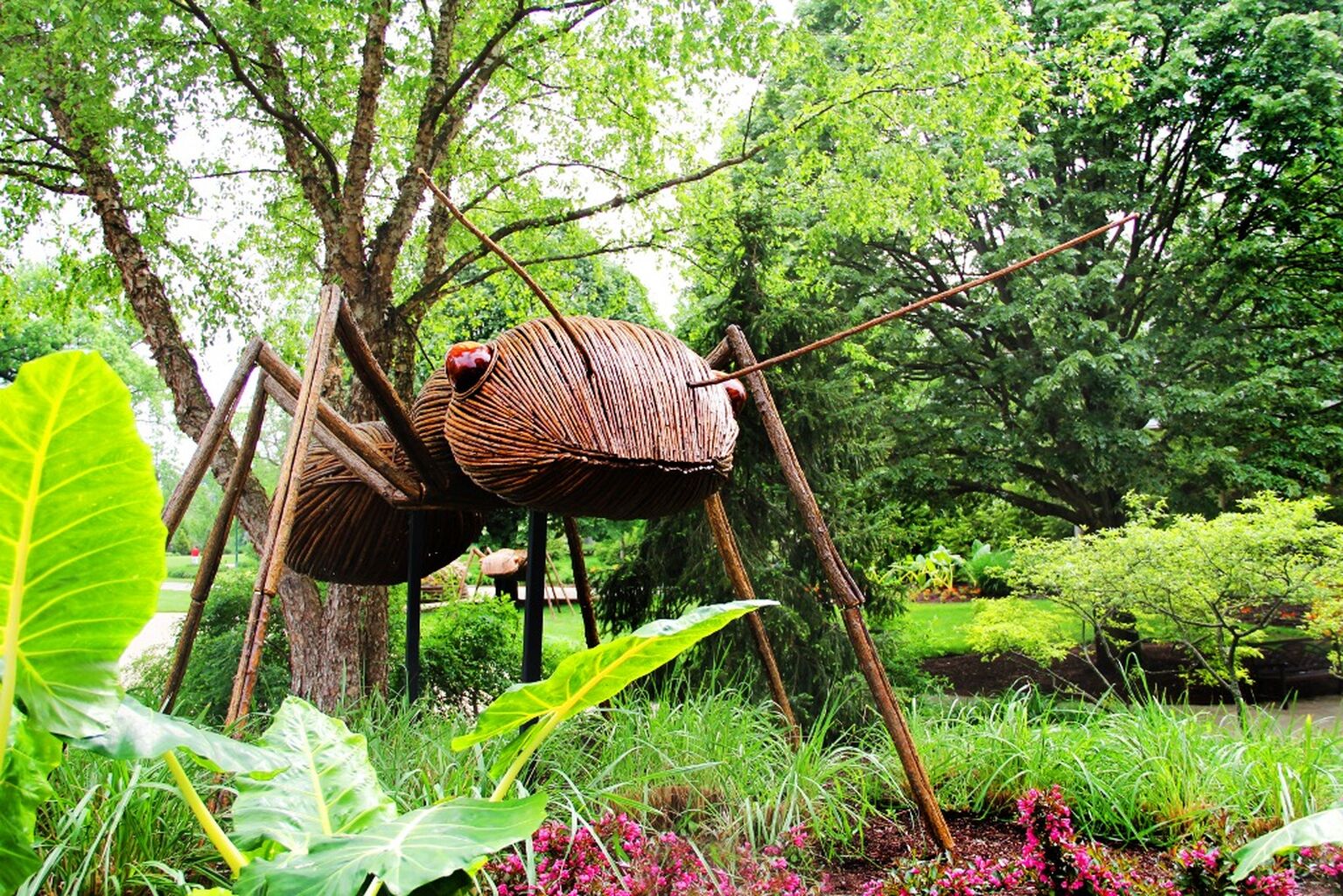 David Rogers: Big Bugs 