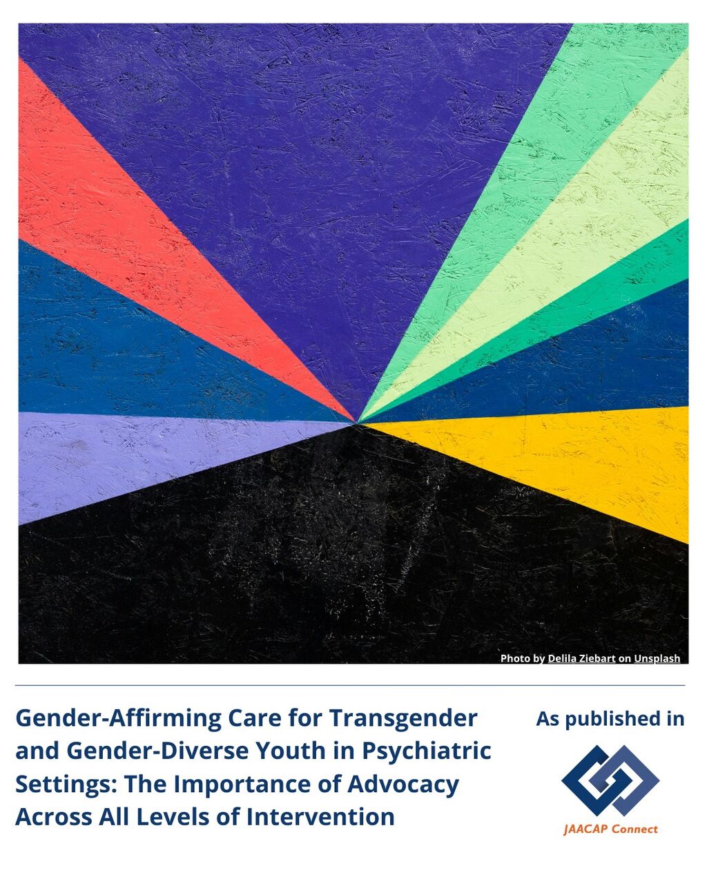 JC Gender-Affirming Care for Transgender and Gender-Diverse Youth in Psychiatric Settings: The Importance of Advocacy Across All Levels of Intervention